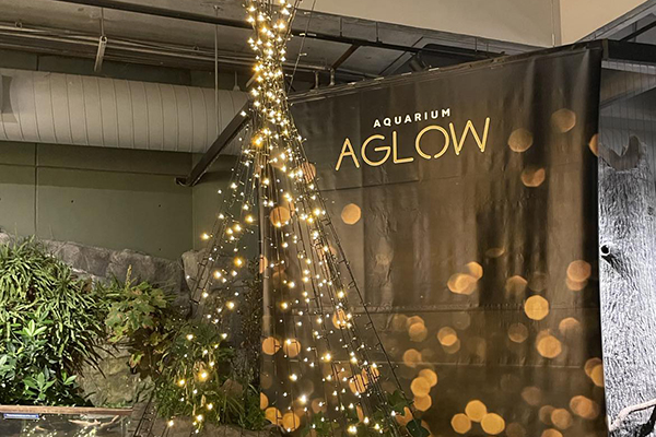 aglow