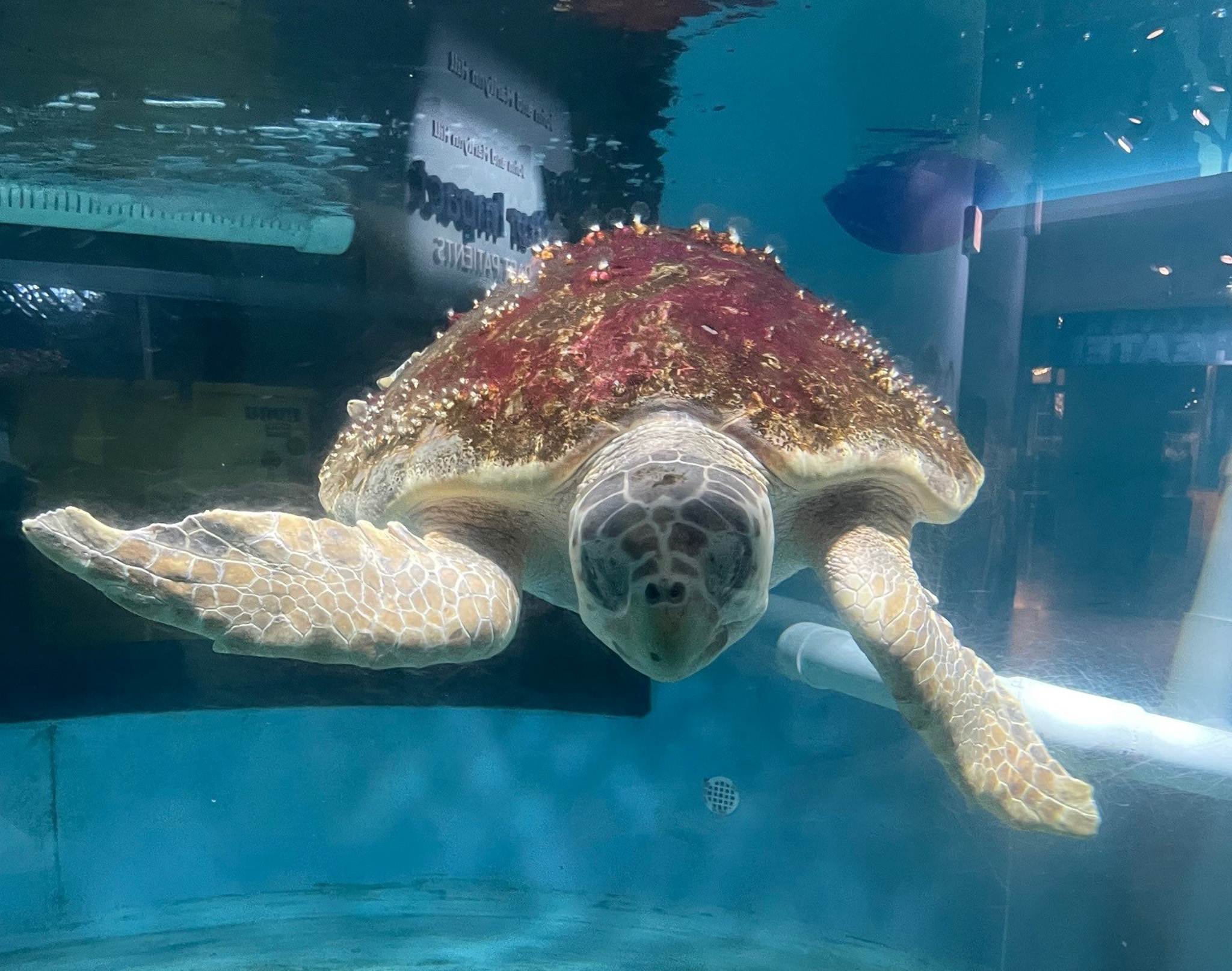 aquarium