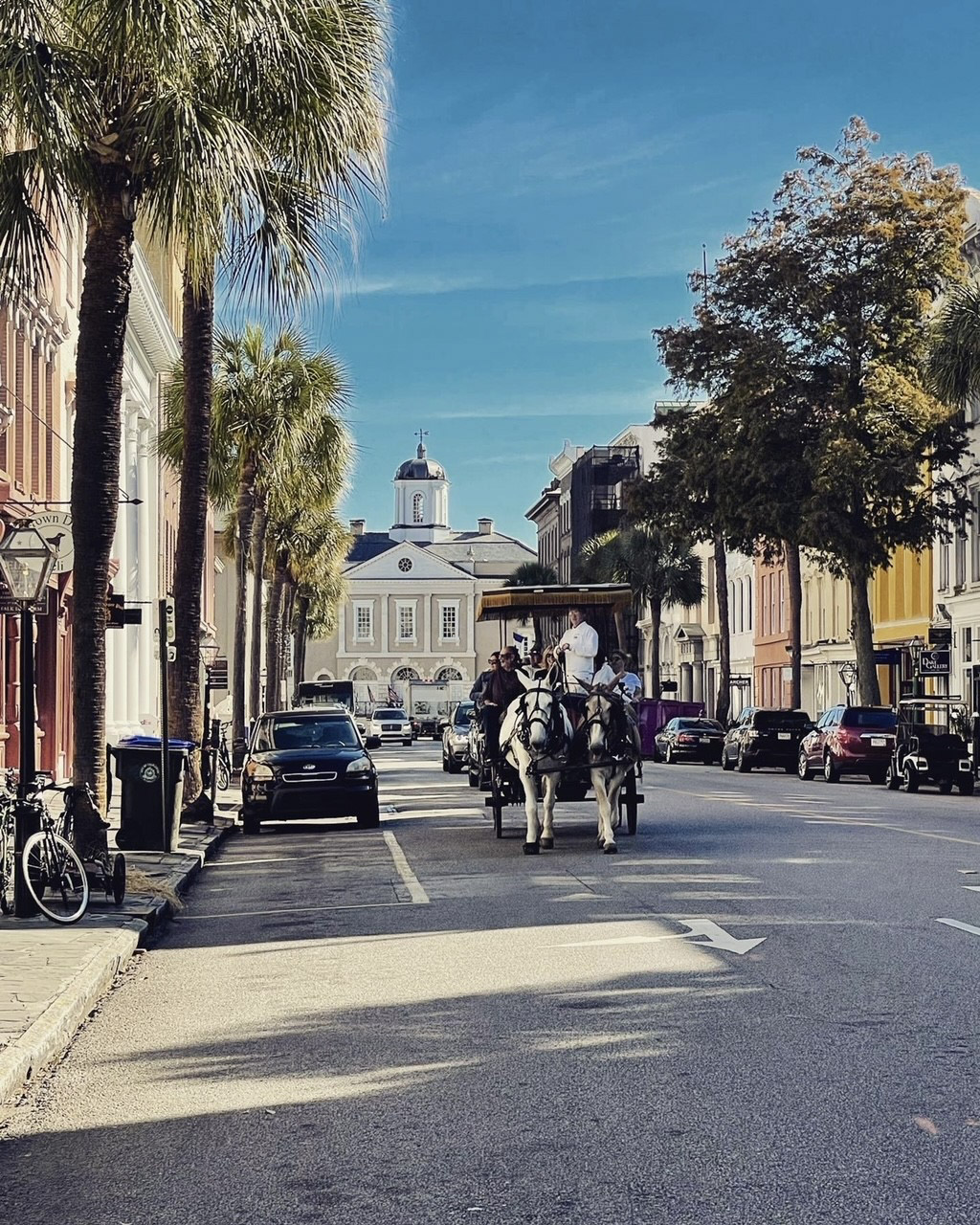horse-and-carriage