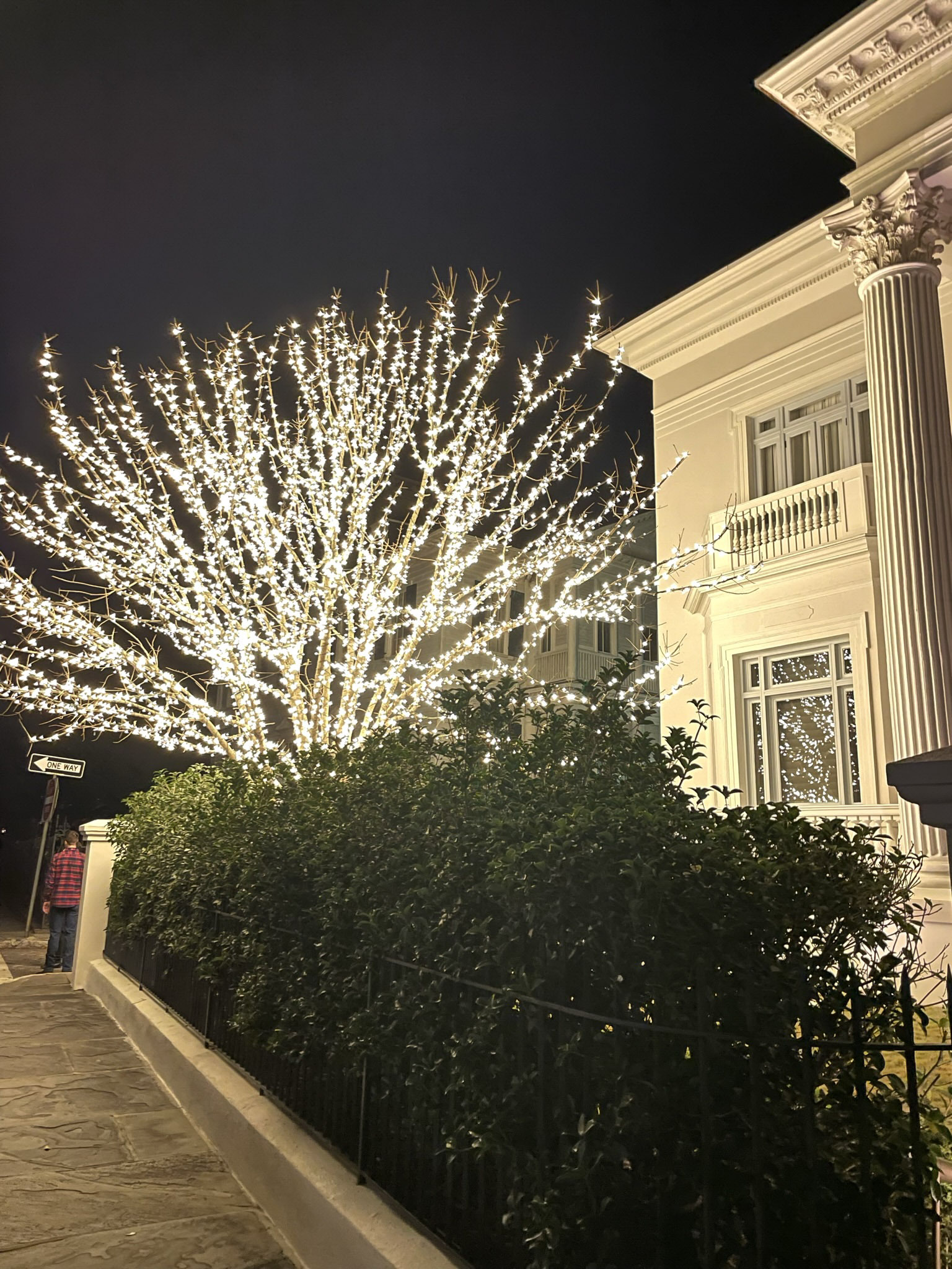 holiday lights