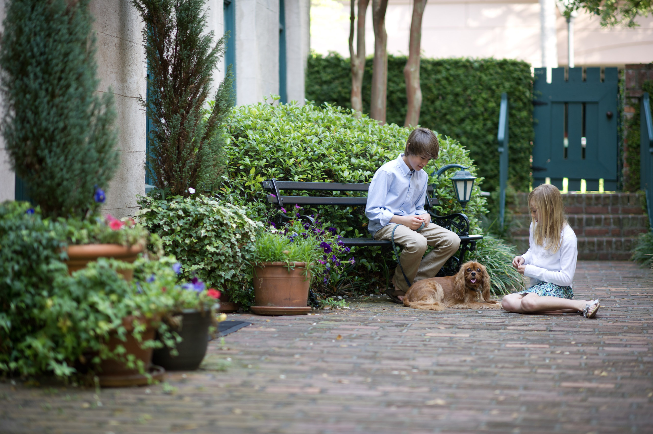 children with a dog