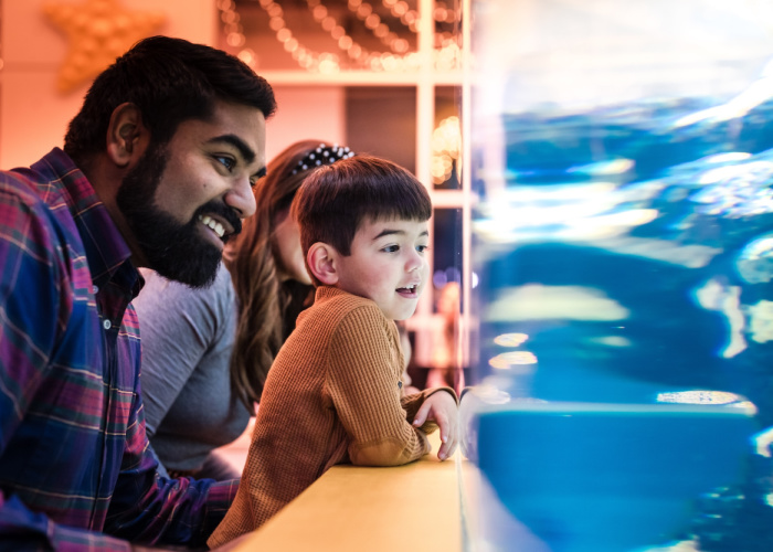 new years eve at south carolina aquarium