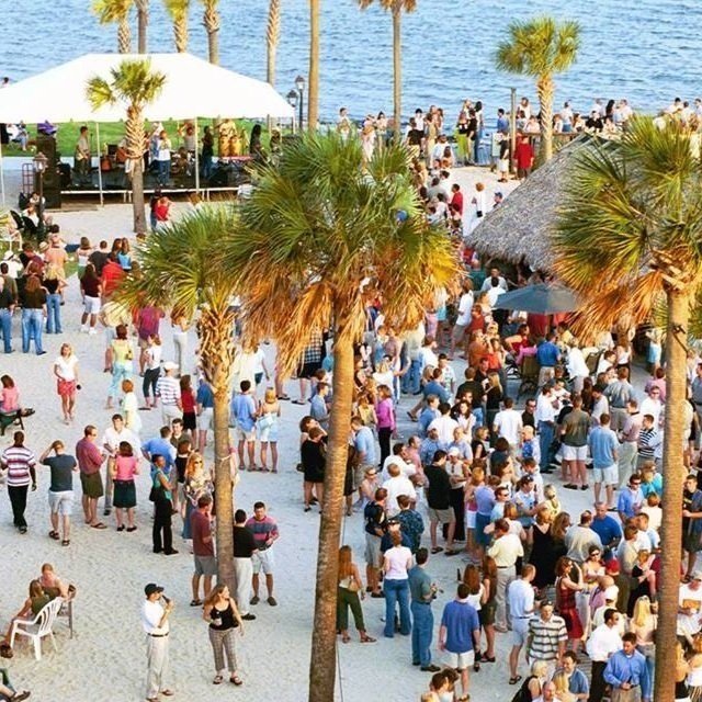 party at the point
