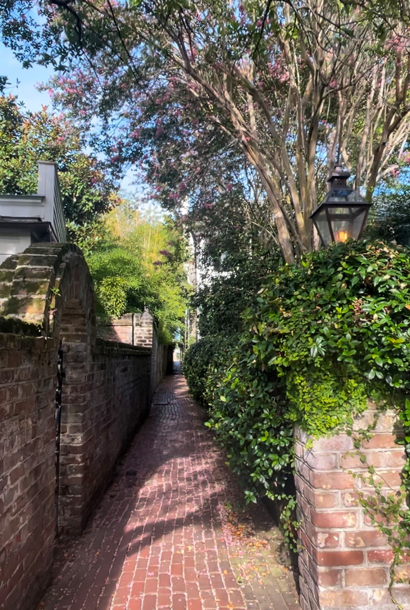 stolls-alley